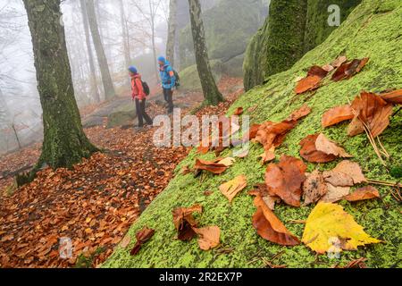 Homme et femme randonnée dans les montagnes de grès d'Elbe, Kleiner Winterberg, montagnes de grès d'Elbe, Parc national de la Suisse saxonne, Suisse saxonne Banque D'Images