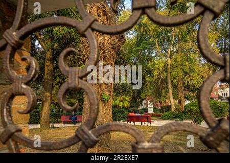 Giardini Papadopoli à Venise, Italie Banque D'Images