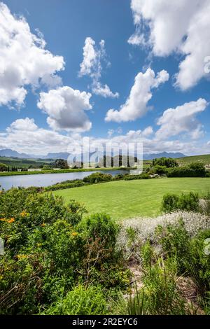 Jordan Wine Estate, Stellenbosch, Cape Winelands, Afrique du Sud, Afrique Banque D'Images