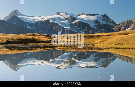 Plan des eaux, l'Albaron, près de Bonneval-sur-Arc, Parc National de la Vanoise, Savoie, France Banque D'Images