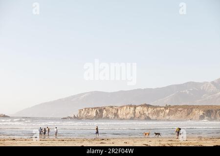 Marcheurs, baigneurs et chiens sur la plage de Big sur. Californie, États-Unis Banque D'Images
