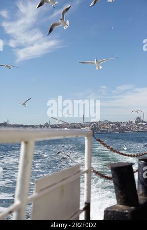 Des mouettes accompagnent le ferry de la partie européenne à la partie asiatique de la ville d'Istanbul, en Turquie Banque D'Images