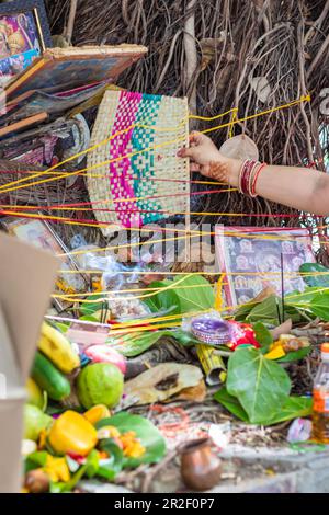 objets sacrés conservés pour le culte religieux hindou du banyan tree sur vat savitri au jour le jour Banque D'Images