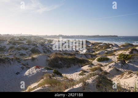 Dunes sur la plage de surf Praia da Gamboa à Peniche, Portugal Banque D'Images