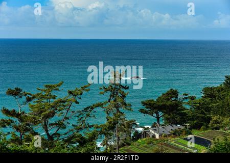 Jardin et centre de méditation Esalen sur la côte Pacifique, Big sur, Californie, Etats-Unis Banque D'Images