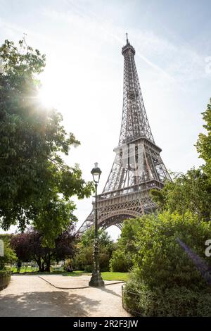 Vue sur la Tour Eiffel avec lumière du soleil depuis le Parc du champs de Mars, Paris, France, Europe Banque D'Images