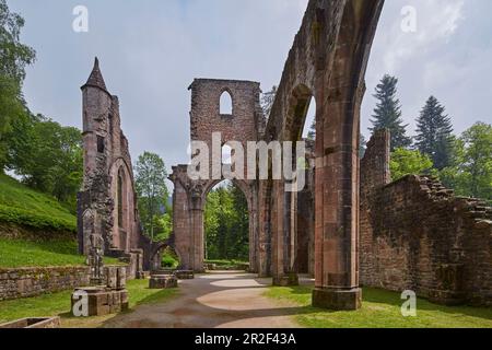 Klosterheiline Allerheiligen, haute vallée de Lierbach, près d'Oppenau, Forêt-Noire du Nord, Forêt-Noire, Bade-Wurtemberg, Allemagne, Europe Banque D'Images