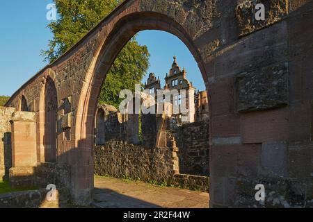 Ancien monastère bénédictin de Saint Pierre et Paul, cloître, château en ruine, style Renaissance, monastère Hirsau, Hirsau, Calw, Forêt-Noire du Nord, B Banque D'Images