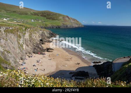 Coumeenoole Beach sur la péninsule de Dingle, comté de Kerry, Irlande Banque D'Images