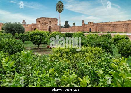 Les jardins du palais El Badi à Marrakech, Maroc Banque D'Images