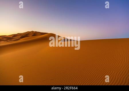 Peu après le lever du soleil dans le désert d'Erg Chebbi, Sahara, Maroc Banque D'Images