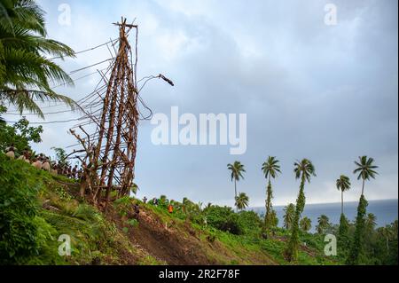 Saut à l'élastique original: Un jeune homme saute d'une tour en bois avec seulement des vignes sur ses chevilles, l'île de Pentecôte, Torba, Vanuatu, Pacifique Sud Banque D'Images