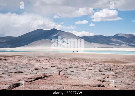 Lagune Piedras Rojas, lagune Altiplanicas, plateau Altiplano, désert d'Atacama, région d'Antofagasta, Chili, Amérique du Sud Banque D'Images