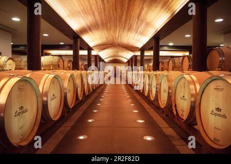 Stockage du vin dans des fûts de chêne, cave de vinification Lapostolle, Santa Cruz, vallée de Colchagua (zone viticole), Chili, Amérique du Sud Banque D'Images