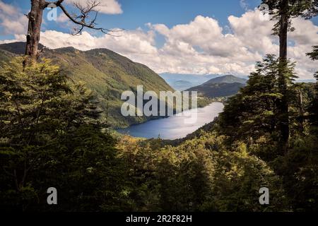 Lac Tinquilco (Lago Tinquilco), Parque Nacional Huerquehue, Pucon, Región de la Araucanía, Chili, Amérique du Sud Banque D'Images