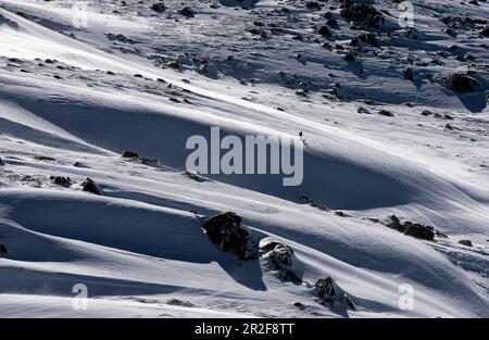 Ski hors piste dans le domaine skiable de Thredbo, Nouvelle-Galles du Sud, Australie Banque D'Images