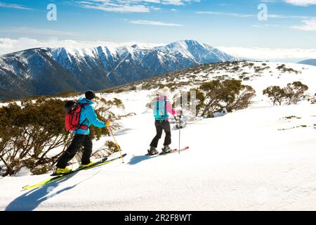 Excursion en ski dans le parc national alpin près de Mt. Loch, Mt. Surmatelas à plumes en arrière-plan, Victoria, Australie Banque D'Images