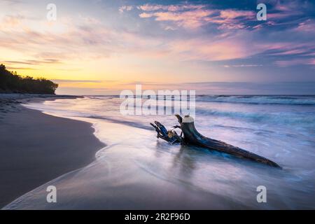 Plage de Rozewie sur la mer Baltique, Pomerania, Pologne Banque D'Images