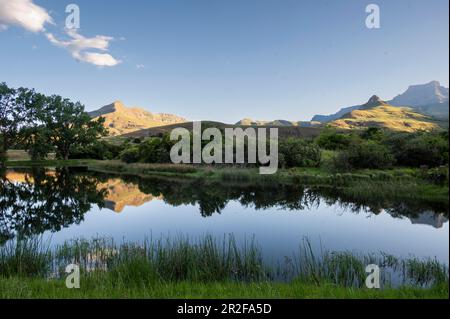 Amphithéâtre avec réflexion dans le lac, Parc National Royal Natal, Drakensberg sud, Kwa Zulu Natal, Afrique du Sud Banque D'Images