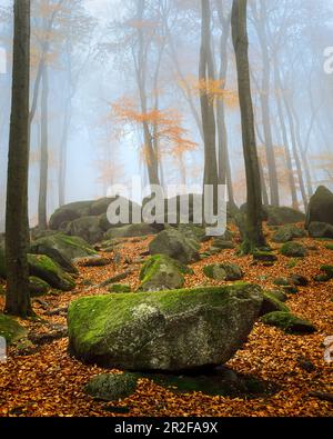 Matin brouillard dans le felsenmeer en automne, Lautertal, Odenwald, Hesse, Allemagne Banque D'Images