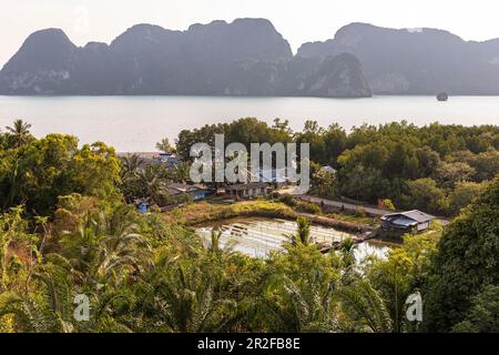 Vue depuis Wat Laem Sak - temple sur la baie de Phang Nga, Laem Sak. Région de Krabi, Thaïlande Banque D'Images