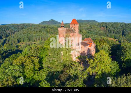 Vue aérienne du château de Berwartstein près de Erlenbach, Dahn, Wasgau, Forêt du Palatinat, Rhénanie-Palatinat, Allemagne Banque D'Images