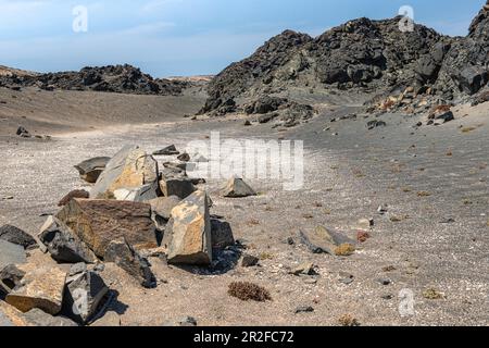 Roche amphibolique, point de Diaz, Luederitz, Namibie Banque D'Images