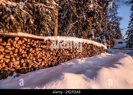 Cheminée de bois de chauffage dans un paysage hivernal enneigé avec forêt de conifères au lever du soleil, Himmelberg, Carinthie, Autriche Banque D'Images