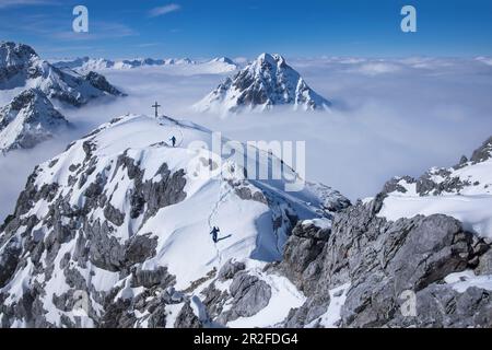 Excursion de ski au sommet du Tajakopf à Ehrwald en hiver Banque D'Images