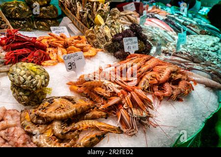 Poisson frais dans la salle de marché de la Boqueria, Mercat de la Boqueria, Barcelone, Espagne Banque D'Images