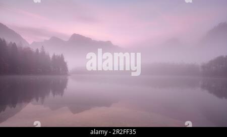 Ambiance matinale avec brouillard, vue depuis les rives de l'Almsee en haute-Autriche jusqu'à l'Ahornkar, l'Almtaler Sundial, le Großer Woising et l'Ameisstein Banque D'Images