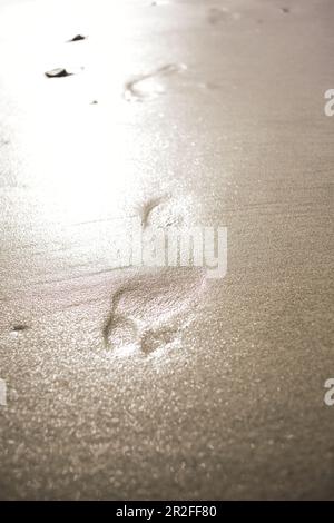 Empreintes de pieds dans la lumière du soir sur Big sur Beach, Californie, États-Unis. Banque D'Images