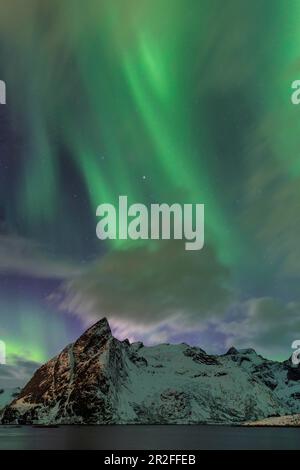 Aurores boréales ou aurores boréales au-dessus de Reinefjord, hiver, montagnes enneigées derrière, Reine, Lofoten, Nordland, Norvège Banque D'Images