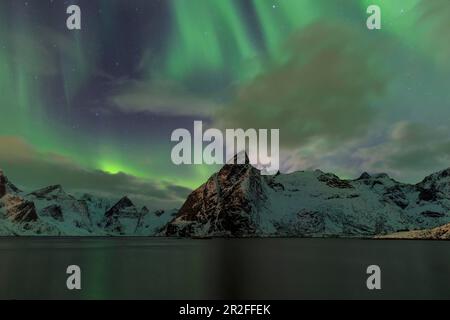 Aurores boréales ou aurores boréales au-dessus de Reinefjord, hiver, montagnes enneigées derrière, Reine, Lofoten, Nordland, Norvège Banque D'Images