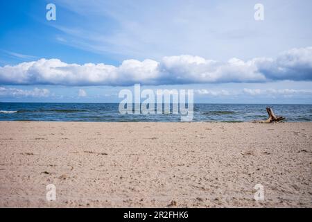 Ancienne racine sur la plage de Bansin avec un ciel légèrement nuageux, Usedom, Mecklenburg-Poméranie occidentale, Allemagne Banque D'Images