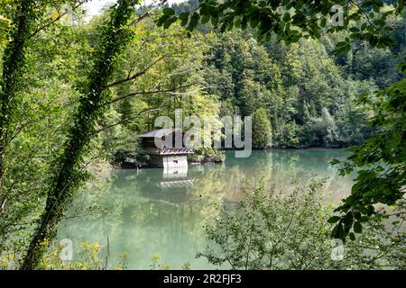 Vue sur une cabane au Staufensee sur le sentier de randonnée du Rappenlochschlucht, Dornbirn, Vorarlberg, Autriche, Europe Banque D'Images