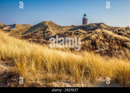 Phare de Rotes Kliff à Kampen, Sylt, Schleswig-Holstein, Allemagne Banque D'Images