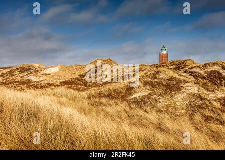 Phare de Rotes Kliff à Kampen, Sylt, Schleswig-Holstein, Allemagne Banque D'Images