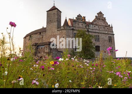 Prairie de fleurs devant le château de Cadolzburg dans la lumière du soir, Cadolzburg, Franconie, Bavière, Allemagne Banque D'Images