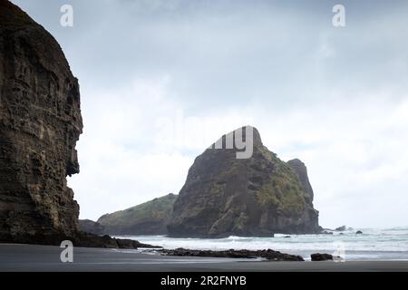 Piha Beach se trouve à l'ouest d'Auckland, la plus grande ville de Nouvelle-Zélande. Banque D'Images