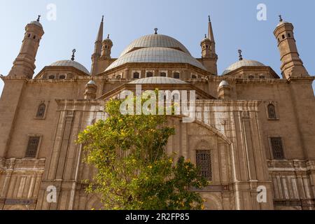 Dômes et minarets de la Grande Mosquée de Muhammad Ali Pasha, la Citadelle, le Caire Banque D'Images