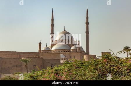 Dômes et minarets de la Grande Mosquée de Muhammad Ali Pasha, la Citadelle, le Caire Banque D'Images