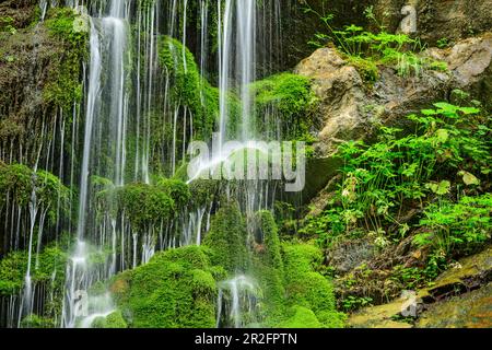 L'eau s'écoule au-dessus des roches mossy, Wimbachklamm, Alpes de Berchtesgaden, Berchtesgaden, parc national de Berchtesgaden, Haute-Bavière, Bavière, Allemagne Banque D'Images