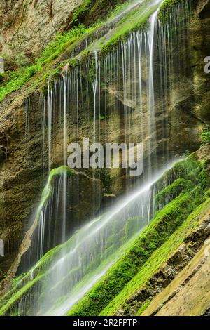 L'eau s'écoule au-dessus des roches mossy, Wimbachklamm, Alpes de Berchtesgaden, Berchtesgaden, parc national de Berchtesgaden, Haute-Bavière, Bavière, Allemagne Banque D'Images