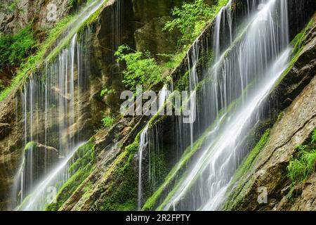 L'eau s'écoule au-dessus des roches mossy, Wimbachklamm, Alpes de Berchtesgaden, Berchtesgaden, parc national de Berchtesgaden, Haute-Bavière, Bavière, Allemagne Banque D'Images