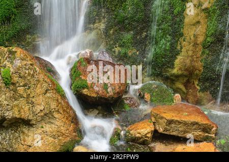 L'eau s'écoule au-dessus des roches mossy, Wimbachklamm, Alpes de Berchtesgaden, Berchtesgaden, parc national de Berchtesgaden, Haute-Bavière, Bavière, Allemagne Banque D'Images