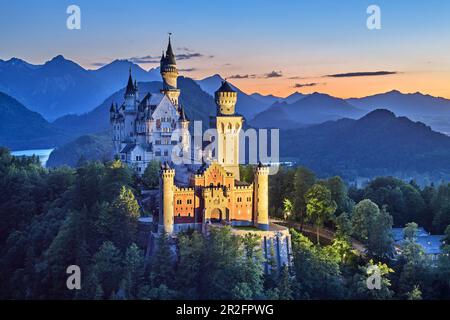 Château de Neuschwanstein, illuminé, en face de Tannheimer Bergen, Neuschwanstein, Ammer Mountains, Ammergau Alpes, Swabia, Bavière, Allemagne Banque D'Images