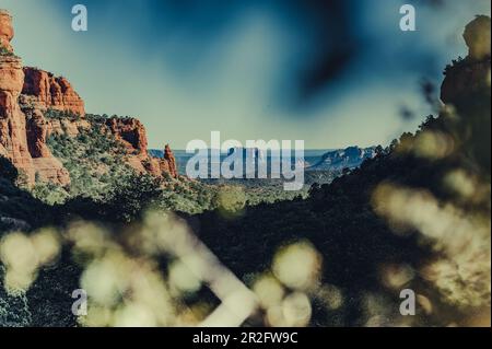 Formations rocheuses et forêt près de Sedona, Arizona, États-Unis, Amérique du Nord, Amérique Banque D'Images
