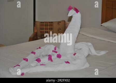 Cadeau dans la chambre d'hôtel. Serviettes représentant un cygne sur le lit double avec pétales de rose. Arrangement romantique pour les couples dans un village en Egypte. Banque D'Images