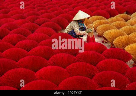 Femme vietnamienne faisant des bâtons d'encens pour les festivités du Tet, les célébrations du nouvel an, Vietnam, Asie Banque D'Images